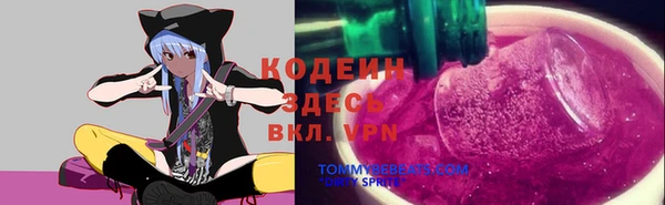 apvp Горно-Алтайск