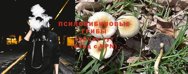 МДПВ Горняк