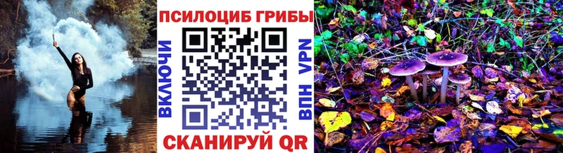 Купить  Щигры  Галлюциногенные грибы Magic Shrooms 